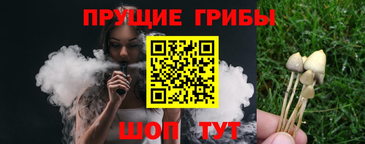 Галлюциногенные грибы Cubensis  Вход с VPN  Карачаевск  Псилоцибиновые грибы GOLDEN TEACHER 